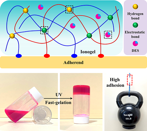 Deep eutectic solvent ionogel