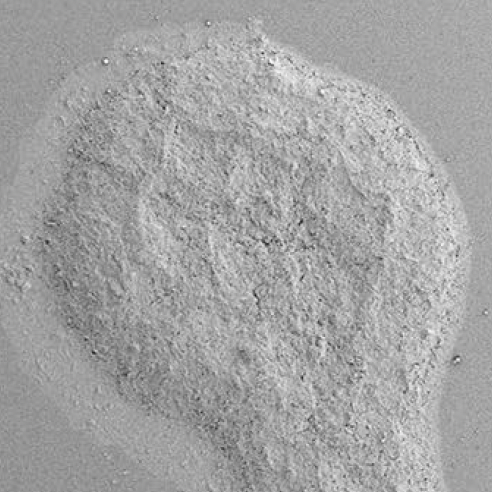 Integrated electrode in a chip