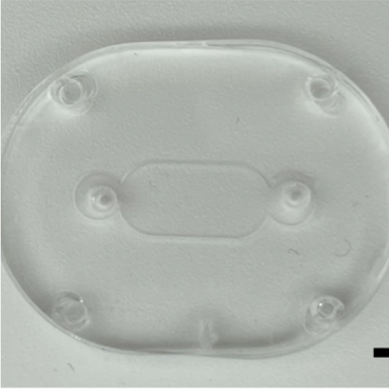 Lymph node-on-a-chip