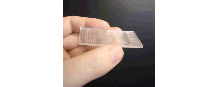 Breast Cancer-on-a-Chip For Testing Immunotherapy Drugs 