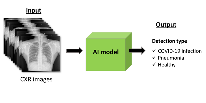 Detecting COVID-19 by Analyzing Lung Images Using Artificial Intelligence Models