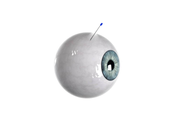 Image Linked From Terasaki Institute