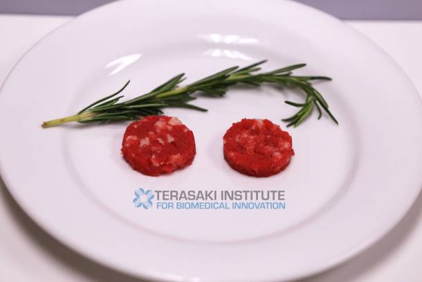 Terasaki Institute For Biomedical Innovation is Awarded Grant From The Good Food Institute