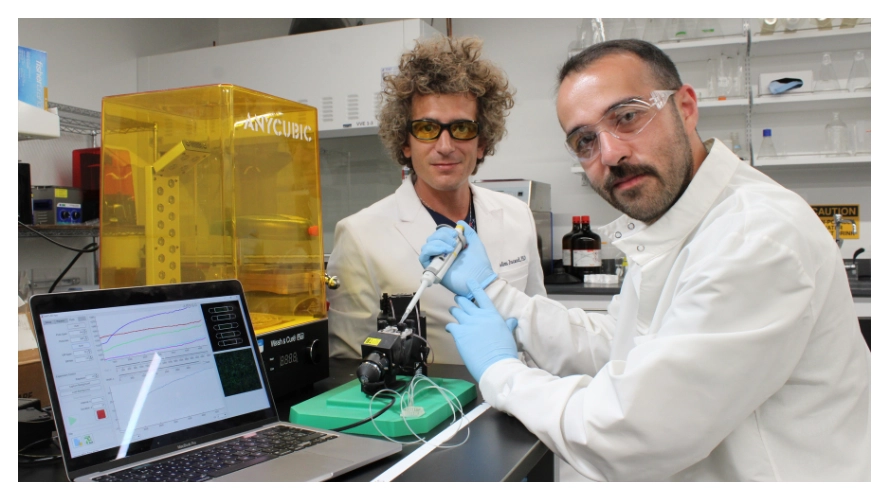 Advancing Monoclonal Antibody Biomanufacturing: Using a Novel Label-Free Biosensing Platform 
