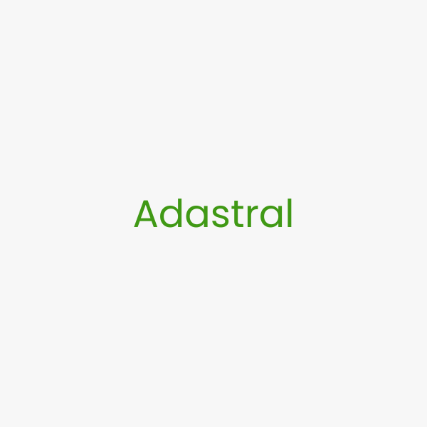 Adastral