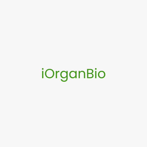 IOrganBio
